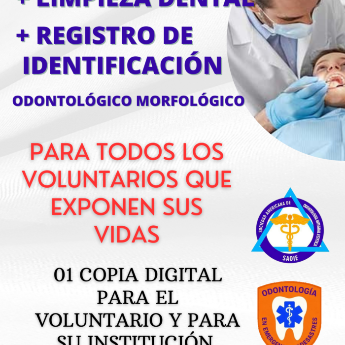 Copia de Volante publicitario postres pasteles artesanales formas orgánicas puntos fotografia fotos tipografía grande rosada azul blanco